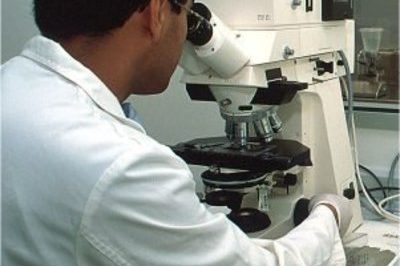 426_investigan-un-nuevo-farmaco-para-la-inflamacion-cerebral-.jpg