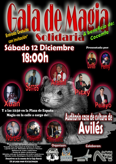 885_magia-solidaria-a-beneficio-de-cocemfe.jpg