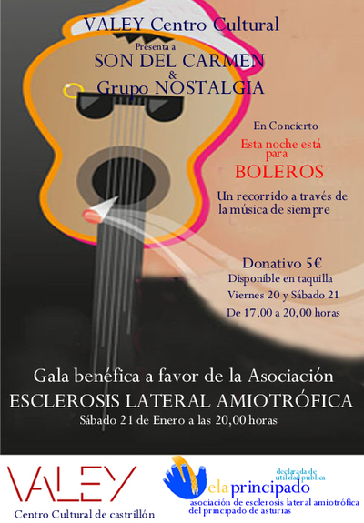 780_concierto-benefico-a-favor-de-ela-principado-.jpg
