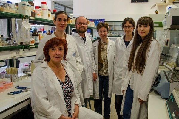 936_nuevo-proyecto-evaluar-la-eficacia-farmaco-contra-cancer-ela.jpg
