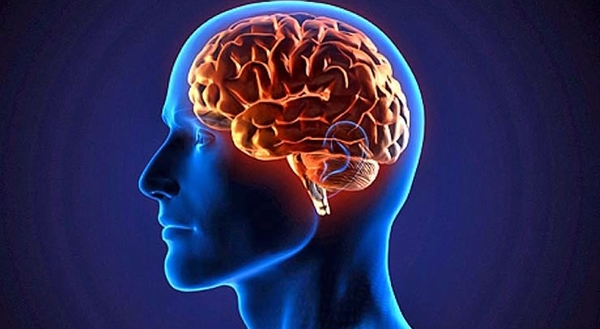 145_ela-demencia-frontotemporal-unidas-relacion-toxicidad-.jpg
