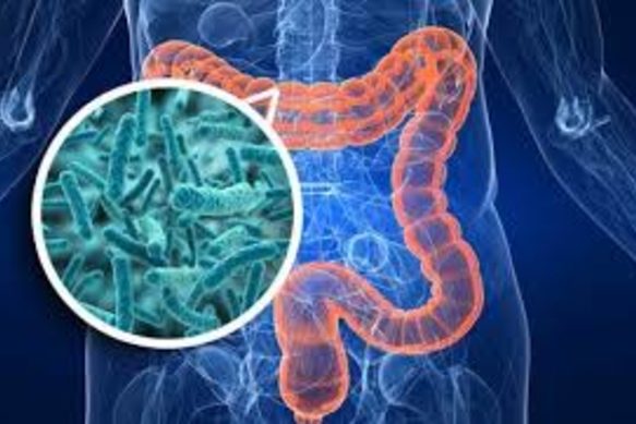 338_un-estudio-demuestra-microbioma-intestinal-puede-afectar-evolucion-ela-.jpg