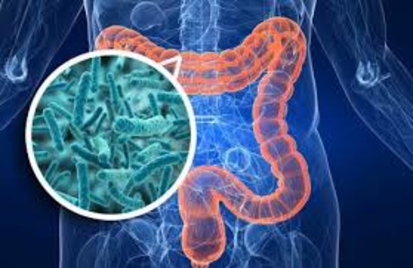 338_un-estudio-demuestra-microbioma-intestinal-puede-afectar-evolucion-ela-.jpg