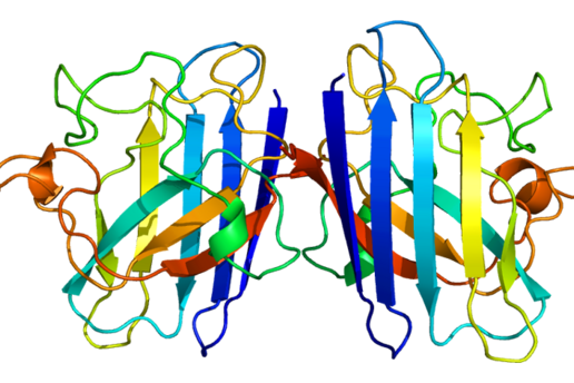 382_arns-terapeuticos-ela.png