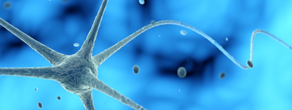 Ilustración 3D de unas células nerviosas