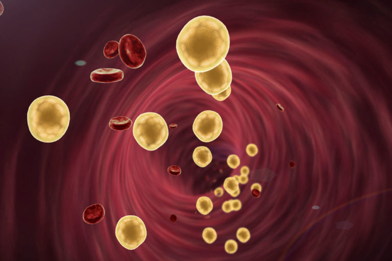 lipoproteínas lipoproteínas